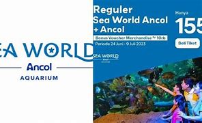 Harga Tiket Masuk Sea World Ancol 2023